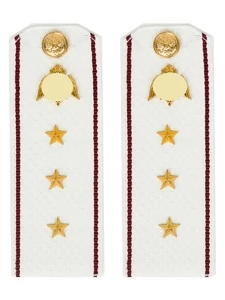 Погоны Росгвардии ФСВНГ на рубашку белые 14х5 см КАРТОН звание Старший Прапорщик