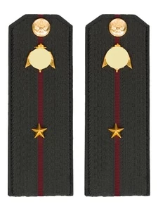 Погоны Росгвардии ФСВНГ на куртку 14х5 см ПЛАСТИК звание Младший Лейтенант