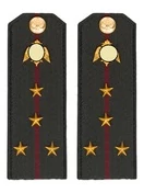 Погоны Росгвардии ФСВНГ на куртку 14х5 см ПЛАСТИК звание Капитан