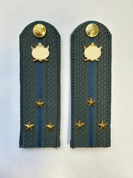 Погоны ФССП с фурнитурой серые звание Старший Лейтенант картон 14х4,5см