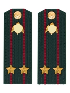 Погоны Росгвардии ФСВНГ на куртку 14х5 см ПЛАСТИК звание Подполковник