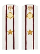 Погоны Росгвардии ФСВНГ на рубашку белые 14х5 см пластик звание Майор