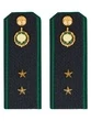 Погоны Пограничной службы ПС ФСБ в сборе картон на куртку звание Прапорщик