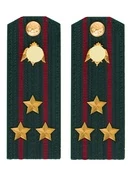 Погоны Росгвардии ФСВНГ на куртку 14х5 см ПЛАСТИК звание Полковник