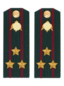 Погоны Росгвардии ФСВНГ на куртку 14х5 см ПЛАСТИК звание Полковник