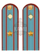 Погоны МЧС голубые на рубашку ПЛАСТИК Звание Майор