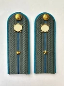 Погоны ФССП с фурнитурой серые звание Младший Лейтенант картон 14х4,5см с Голубым Кантом