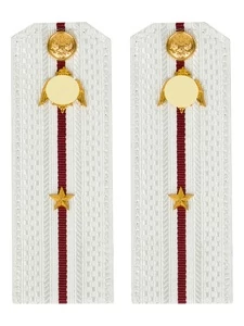 Погоны Росгвардии ФСВНГ на рубашку белые 14х5 см Картон звание Младший Лейтенант