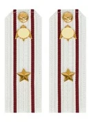 Погоны Росгвардии ФСВНГ на рубашку белые 14х5 см Картон звание Майор