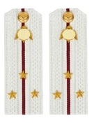 Погоны Росгвардии ФСВНГ на рубашку белые 14х5 см Картон звание Старший Лейтенант