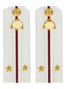 Погоны Росгвардии ФСВНГ на рубашку белые 14х5 см Картон звание Лейтенант