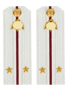 Погоны Росгвардии ФСВНГ на рубашку белые 14х5 см Картон звание Лейтенант