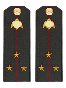 Погоны Росгвардии ФСВНГ на куртку 14х5 см ПЛАСТИК звание Старший Лейтенант