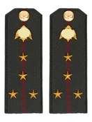 Погоны Росгвардии ФСВНГ на куртку 14х5 см Картон звание Капитан