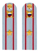 Погоны МВД внутренняя служба на рубашку голубые картон Майор 13см