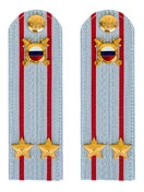 Погоны МВД внутренняя служба на рубашку голубые картон Подполковник 13см