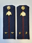 Погоны Росгвардии ФСВНГ на куртку 13см Картон звание Лейтенант цвет темно-синий