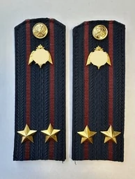 Погоны Росгвардии ФСВНГ на куртку 13см Картон звание Подполковник цвет темно-синий