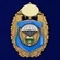 Нагрудный знак "7-я гвардейская десантно-штурмовая дивизия ВДВ"