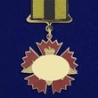 Знак Военной разведки "За службу"