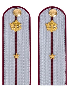 Погоны ФСИН на рубашку картон звание младший лейтенант 12 см