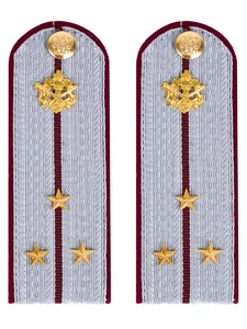 Погоны ФСИН на рубашку картон звание Cтарший лейтенант 12 см