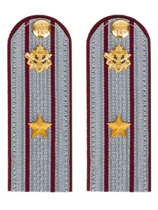 Погоны ФСИН серые картон звание Майор 13 см