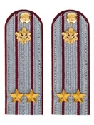 Погоны ФСИН на рубашку серые картон звание Подполковник 13 см