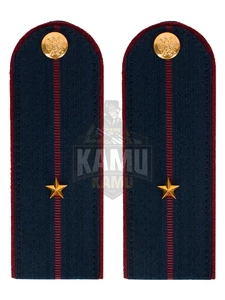 Погоны ФСИН на КИТЕЛЬ картон звание Мл. лейтенант 12 см