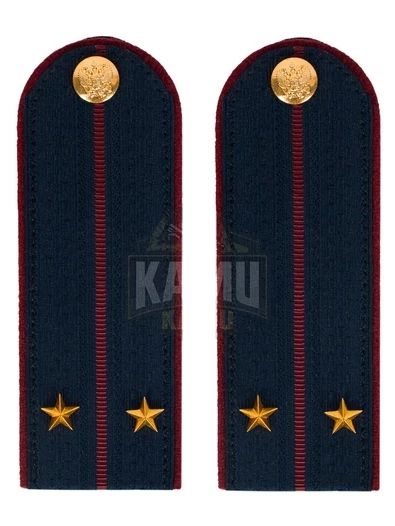 Погоны ФСИН на КИТЕЛЬ картон звание Лейтенант 12 см