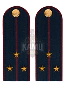 Погоны ФСИН на КИТЕЛЬ картон звание Старший Лейтенант 12 см