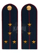 Погоны ФСИН на КИТЕЛЬ картон звание Капитан 12 см