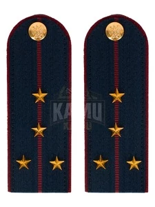 Погоны ФСИН на КИТЕЛЬ картон звание Капитан 12 см