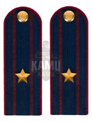 Погоны ФСИН на КИТЕЛЬ картон звание Майор 12 см