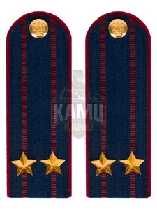 Погоны ФСИН на КИТЕЛЬ картон звание Подполковник 12 см