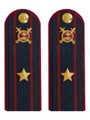 Погоны Полиции картон темно-синие Майор 12 см