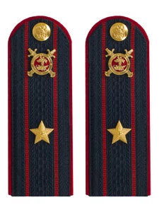 Погоны Полиции картон темно-синие Майор 12 см