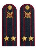 Погоны Полиции картон темно-синие Подполковник 12см