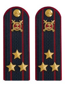 Погоны Полиции картон темно-синие Полковник 12 см