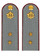 Погоны ФСИН серые на рубашку Картон (в сборе) звание Прапорщик 13 см