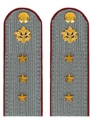 Погоны ФСИН серые на рубашку Картон (в сборе) звание Старший Прапорщик 13 см