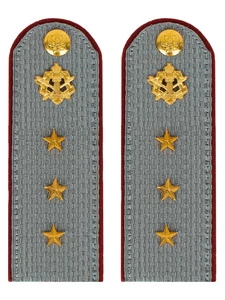 Погоны ФСИН серые на рубашку Картон (в сборе) звание Старший Прапорщик 13 см