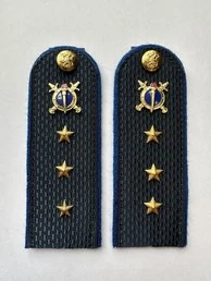 Погоны Юстиции в сборе на куртку картон звание Старший Прапорщик 12 см