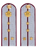 Погоны ФСИН на рубашку картон звание Капитан 13 см