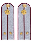 Погоны ФСИН на рубашку картон звание лейтенант 13 см