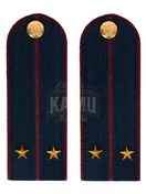 Погоны ФСИН на КИТЕЛЬ картон звание Лейтенант 13 см