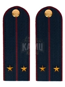 Погоны ФСИН на КИТЕЛЬ картон звание Лейтенант 13 см