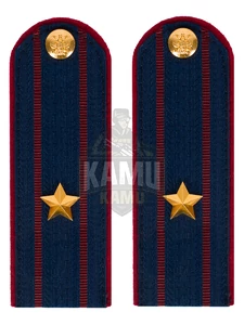 Погоны ФСИН на КИТЕЛЬ картон звание Майор 13 см