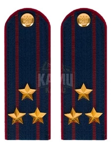 Погоны ФСИН на КИТЕЛЬ картон звание Полковник 13 см