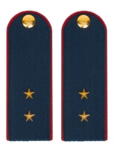 Погоны ФСИН на Китель звание Прапорщик картон темно-синие 12 см